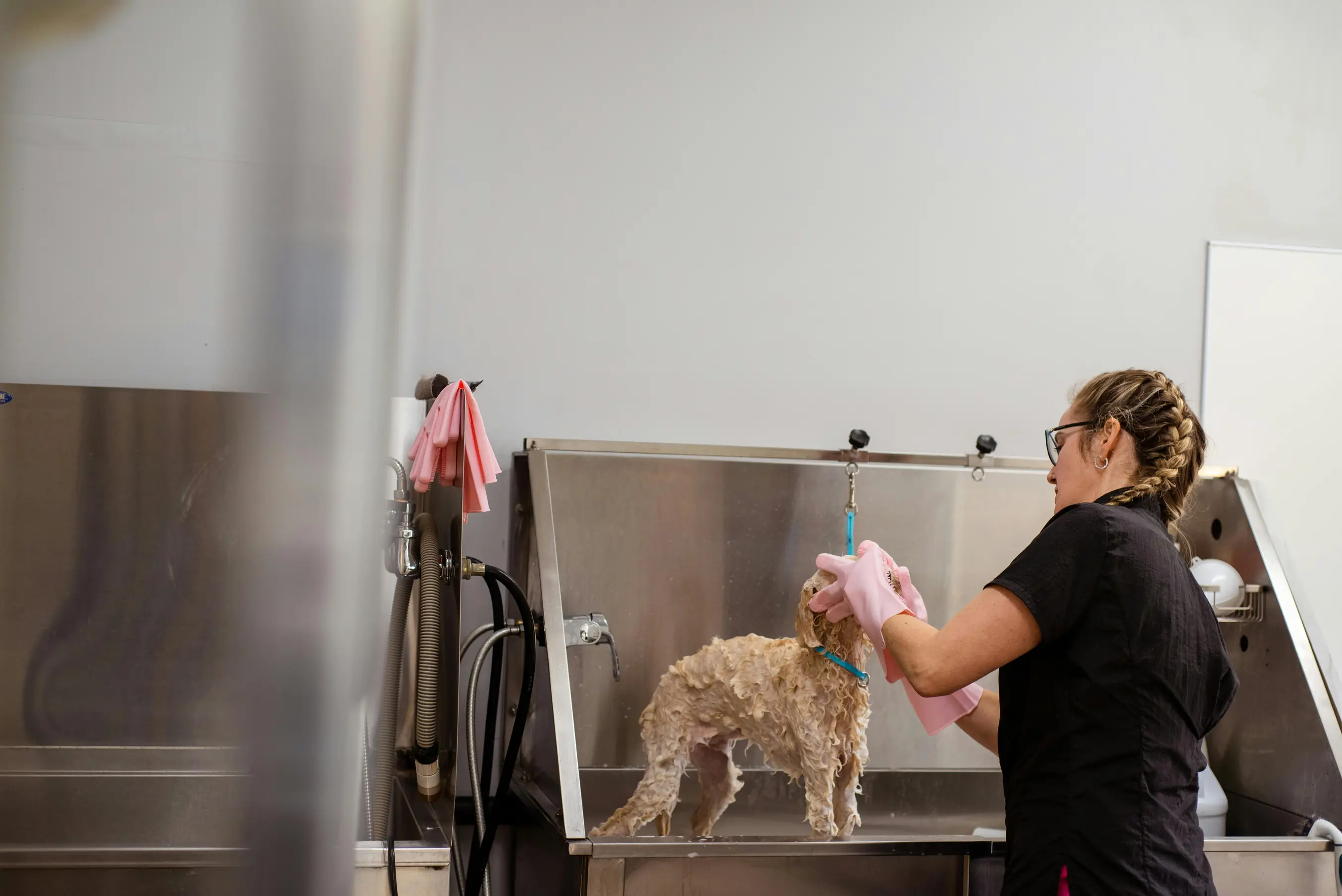 Easiest Pet Grooming Software for Small Dog Grooming Shops