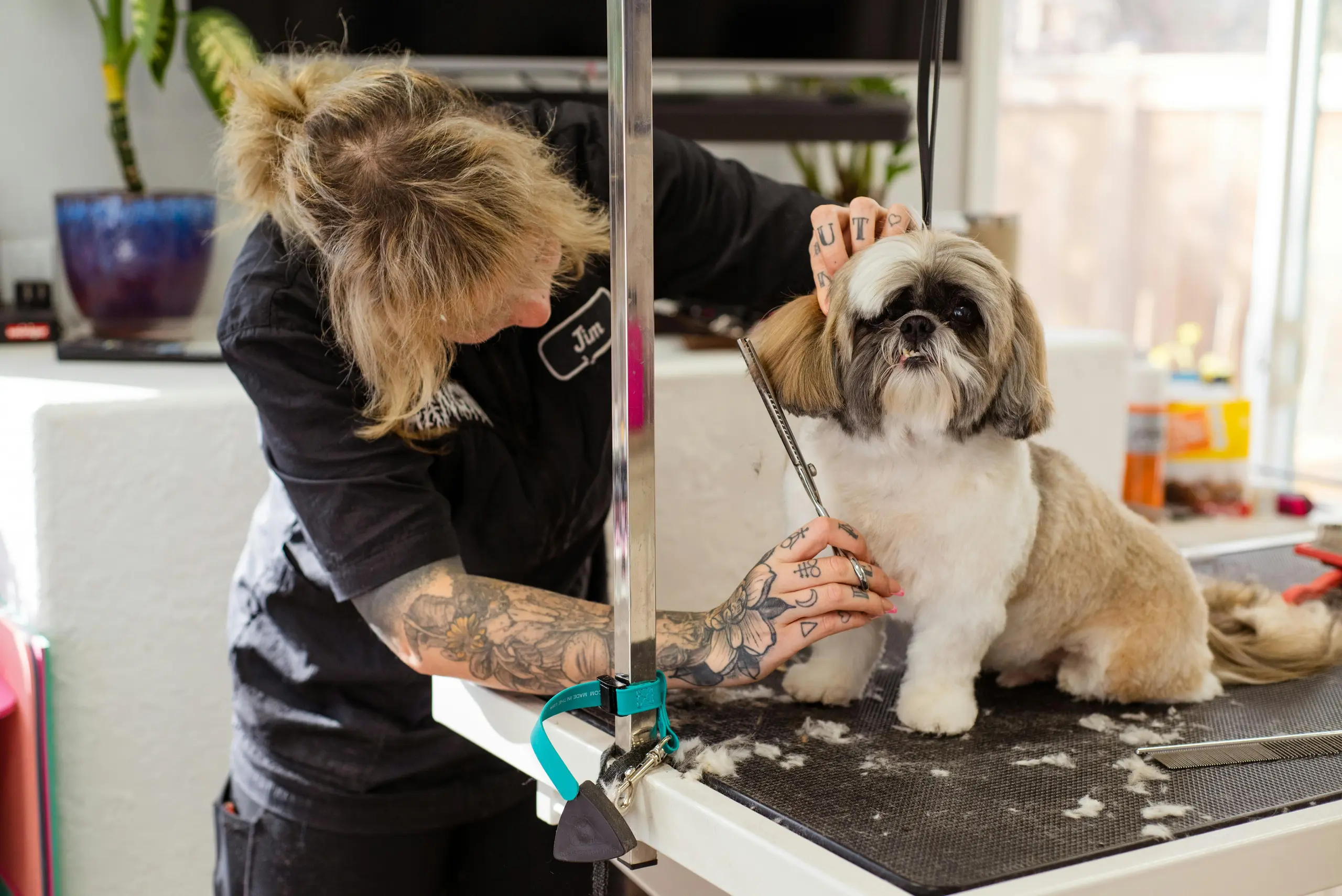 Reduce No-Shows by 40%: 10 Proven Strategies for Dog Groomers